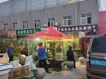 2025年春季未央信鸽协会第一关
