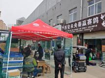 2025年春未央信鸽协会第二关