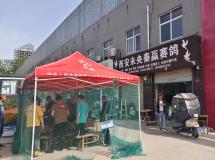 2025年春未央信鸽协会第三关500公里（神木）